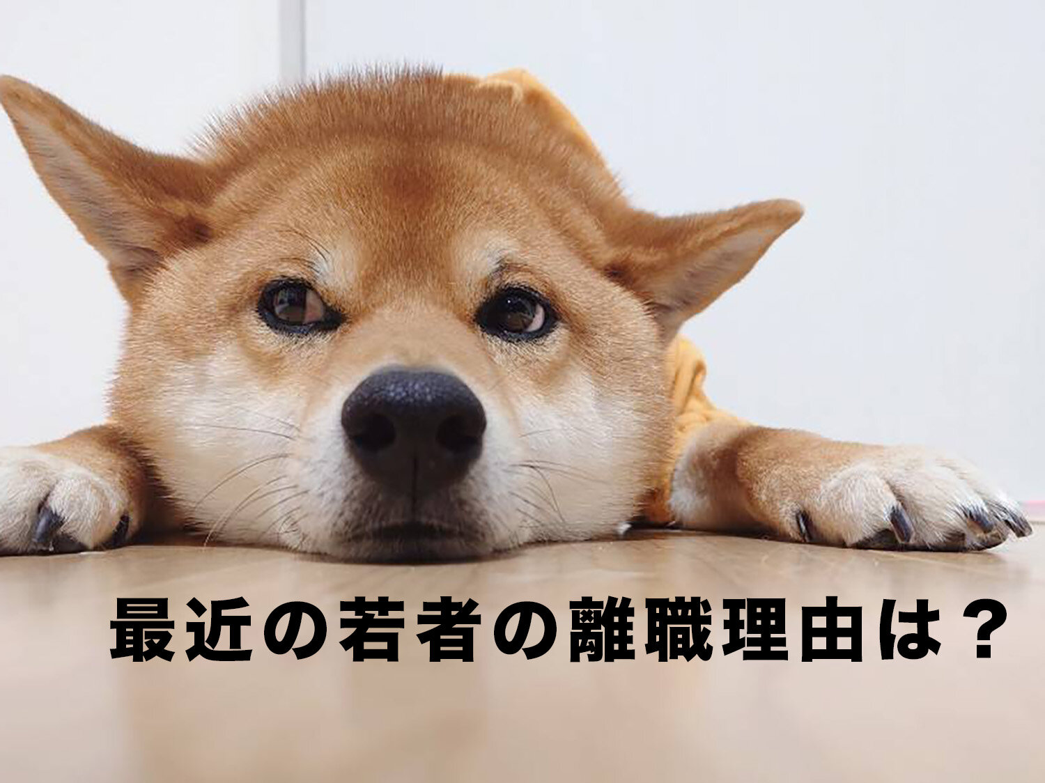 若者の離職理由から考える転職活動のポイント